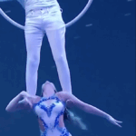 Wuqiao Circus Festival Blends Acrobatics & Global Culture 🌍🎪 video poster