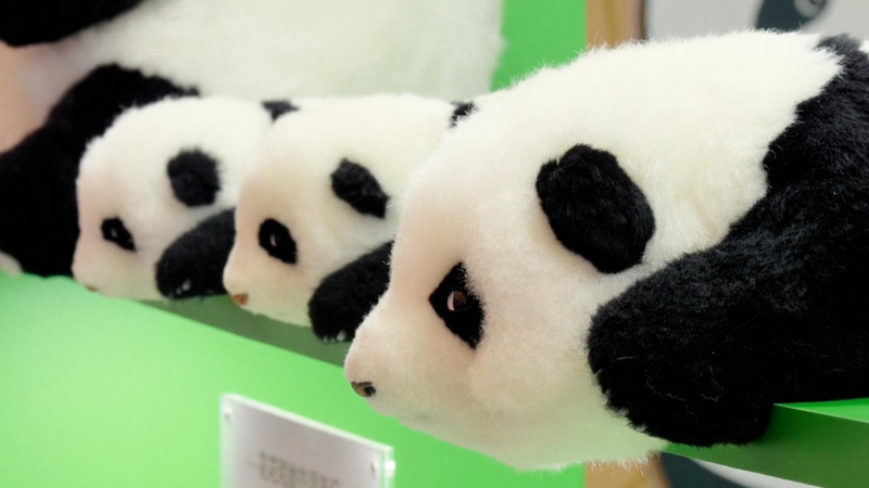 CXWZ1P6BTJGO6XYAKSNG - 🌍NewspaperAmigo – Your Global News Buddy 🗞️ China Toy Expo 2023: IP Boom Sparks Creative Revolution 🚀🧸 video poster