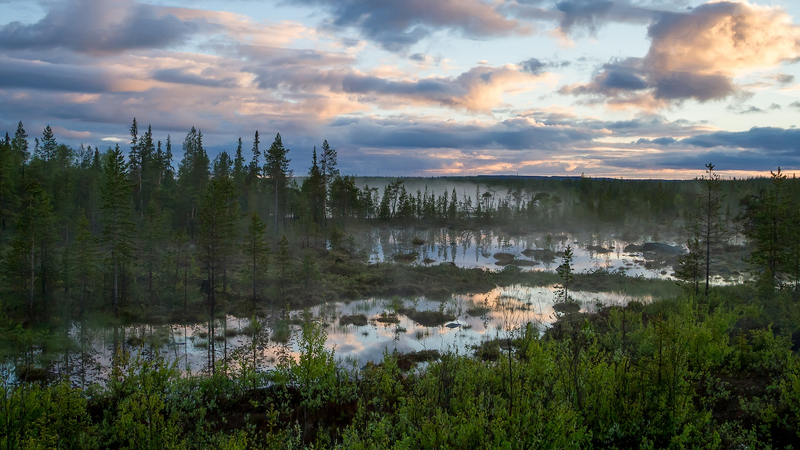 CYHMNBWW2DDSYID9MVVY - 🌍NewspaperAmigo – Your Global News Buddy 🗞️ Russia Launches First Arctic Forest-Climate Project 🌲❄️