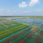 D0EEBG9MHYDOT3VUE92W - 🌍NewspaperAmigo – Your Global News Buddy 🗞️ China Leads Global Green Shift 🌱: UN Report Highlights SDG Progress