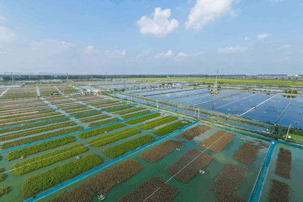 China Leads Global Green Shift ๐ฑ: UN Report Highlights SDG Progress China Leads Global Green Shift ๐ฑ: UN Report Highlights SDG Progress