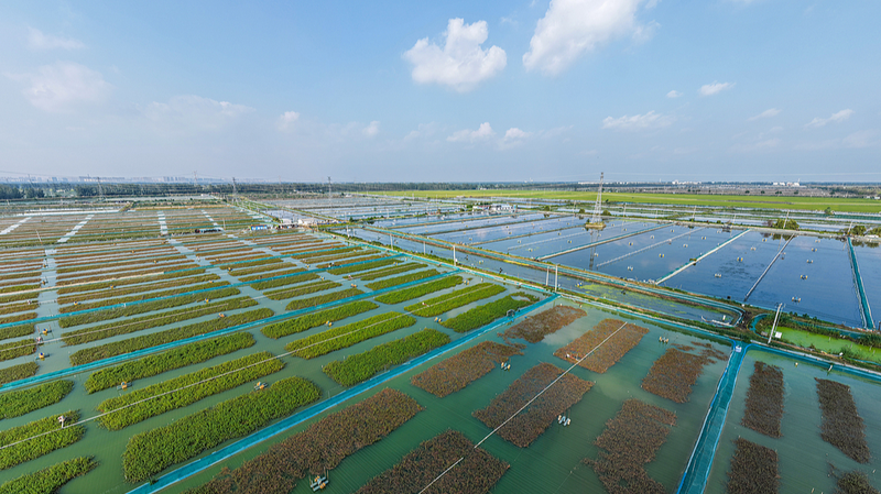 D0EEBG9MHYDOT3VUE92W - 🌍NewspaperAmigo – Your Global News Buddy 🗞️ China Leads Global Green Shift 🌱: UN Report Highlights SDG Progress