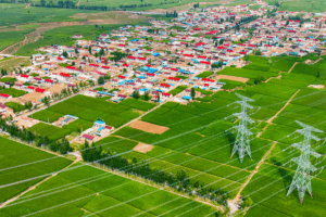 Wuzhong’s Culture & Tourism Boom Sparks Rural Revival 🌾🎨