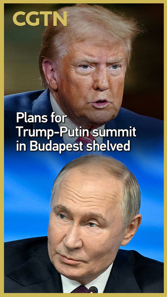 Trump-Putin Budapest Summit Plans Put on Hold 🕊️❌ video poster