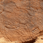 FWLL2DZEWHXBARKLJ1RV - 🌍NewspaperAmigo – Your Global News Buddy 🗞️ Ancient Camel Carvings Reveal Prehistoric Water Maps 🐪🌍