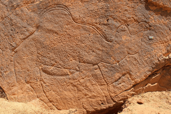 Ancient Camel Carvings Reveal Prehistoric Water Maps 🐪🌍 Ancient Camel Carvings Reveal Prehistoric Water Maps 🐪🌍