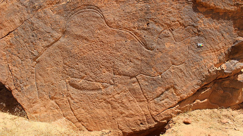 FWLL2DZEWHXBARKLJ1RV - 🌍NewspaperAmigo – Your Global News Buddy 🗞️ Ancient Camel Carvings Reveal Prehistoric Water Maps 🐪🌍