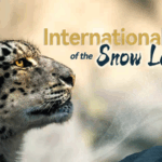 G060TBOU0CF99F3MQF03 - 🌍NewspaperAmigo – Your Global News Buddy 🗞️ 🌨️🐆 Saving the 'Ghost of the Mountains': Why Snow Leopards Need Our Help!
