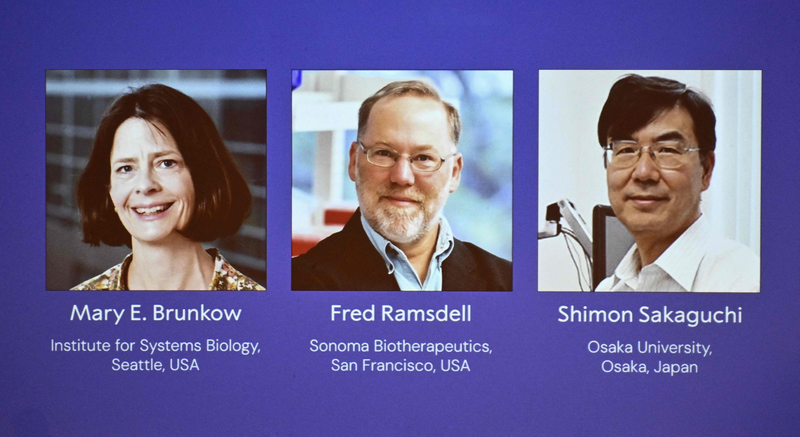 Nobel Trio Wins Big for Immune System Breakthrough 🏆🩺