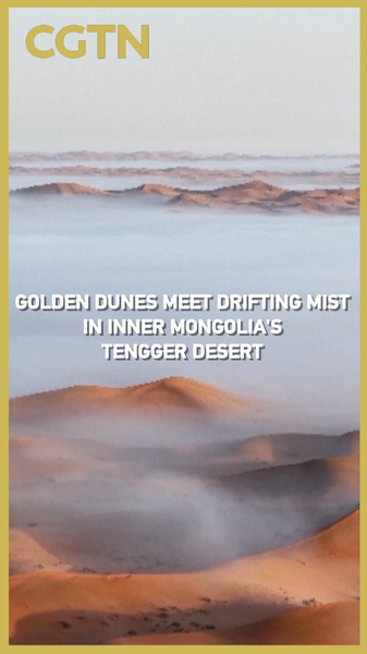 Golden Sands Meet Mystical Mist: Inner Mongolia’s Desert Transforms 🌄🏜️ Golden Sands Meet Mystical Mist: Inner Mongolia's Desert Transforms 🌄🏜️ video poster