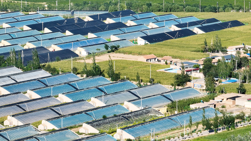 HCCTS789RCULFUM5047Y - 🌍NewspaperAmigo – Your Global News Buddy 🗞️ From Desert to Oasis: Minning Town’s Eco-Revolution 🌱🏜️✨