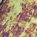 I852CFJ5HQSBUJN7GYFA - 🌍NewspaperAmigo – Your Global News Buddy 🗞️ Ancient Silk Manuscripts Reveal Hidden Secrets with Tech 🔍📜 video poster
