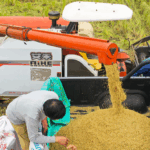 IG71EMZHUWNBY93NVYGX - 🌍NewspaperAmigo – Your Global News Buddy 🗞️ 🌾 How China’s Food Security Strategy Impacts Your Plate 🌍