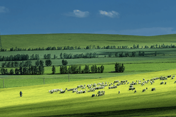 π± Drought Crisis: Grasslands Face Collapse as Climate Worsens π π± Drought Crisis: Grasslands Face Collapse as Climate Worsens π