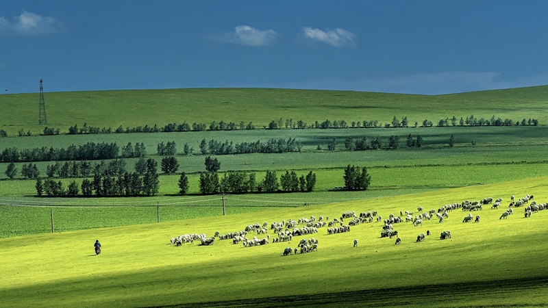 JIPSCUKXMAHC2ZY8C1KJ - 🌍NewspaperAmigo – Your Global News Buddy 🗞️ 🌱 Drought Crisis: Grasslands Face Collapse as Climate Worsens 🌍