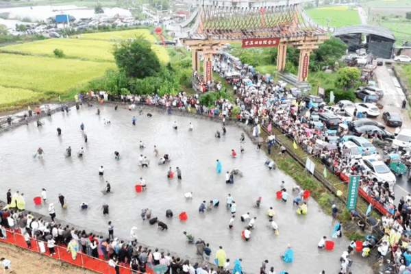 ๐พ Golden Autumn Fun: Harvest Festivals Draw Crowds in China! ๐พ Golden Autumn Fun: Harvest Festivals Draw Crowds in China! video poster