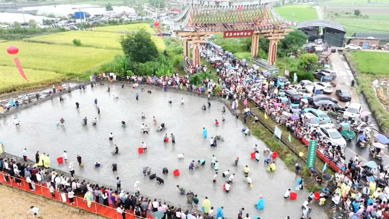 K0TCMHUG0IHDOGLSSW1S - 🌍NewspaperAmigo – Your Global News Buddy 🗞️ 🌾 Golden Autumn Fun: Harvest Festivals Draw Crowds in China! video poster