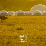 L0NU5ENG2IMXIOTX5O5H - 🌍NewspaperAmigo – Your Global News Buddy 🗞️ Ulanqab Grasslands: Where Herds & Harmony Reign 🌿🐑