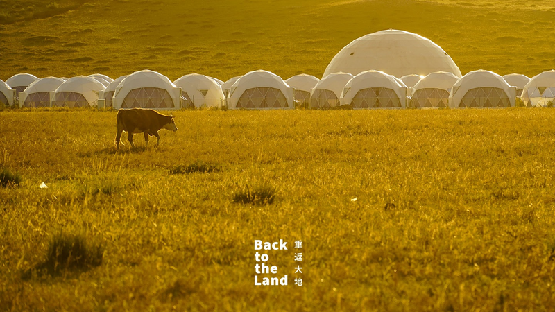 L0NU5ENG2IMXIOTX5O5H - 🌍NewspaperAmigo – Your Global News Buddy 🗞️ Ulanqab Grasslands: Where Herds & Harmony Reign 🌿🐑