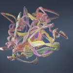 LQ0JDNJGOB0NOU25R4KC - 🌍NewspaperAmigo – Your Global News Buddy 🗞️ AI Unlocks Evolutionary Secrets: Bats & Whales’ Echolocation Mystery Solved 🦇🐋