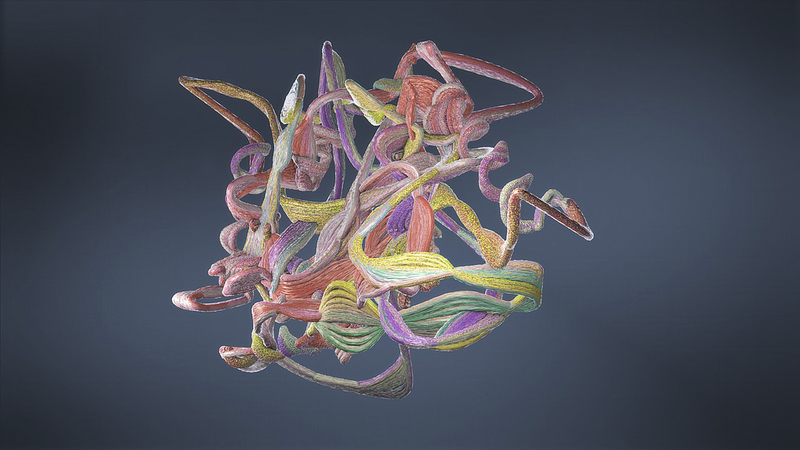 LQ0JDNJGOB0NOU25R4KC - 🌍NewspaperAmigo – Your Global News Buddy 🗞️ AI Unlocks Evolutionary Secrets: Bats & Whales’ Echolocation Mystery Solved 🦇🐋