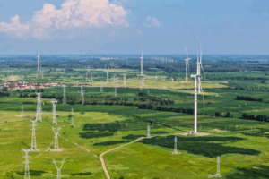 Asia-Pacific Unites for Green Future at 2025 APEC Summit 🌱🌏