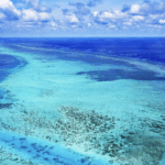 N2XGB7GW9E6NVM617X2V - 🌍NewspaperAmigo – Your Global News Buddy 🗞️ U.S. Navy Aircraft Down in South China Sea: Crew Rescued 🚁✈️