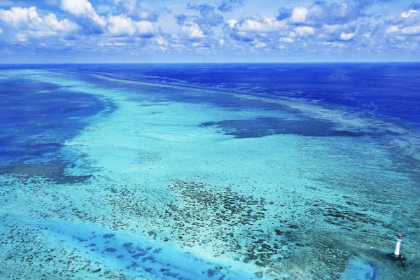 U.S. Navy Aircraft Down in South China Sea: Crew Rescued πβοΈ U.S. Navy Aircraft Down in South China Sea: Crew Rescued πβοΈ