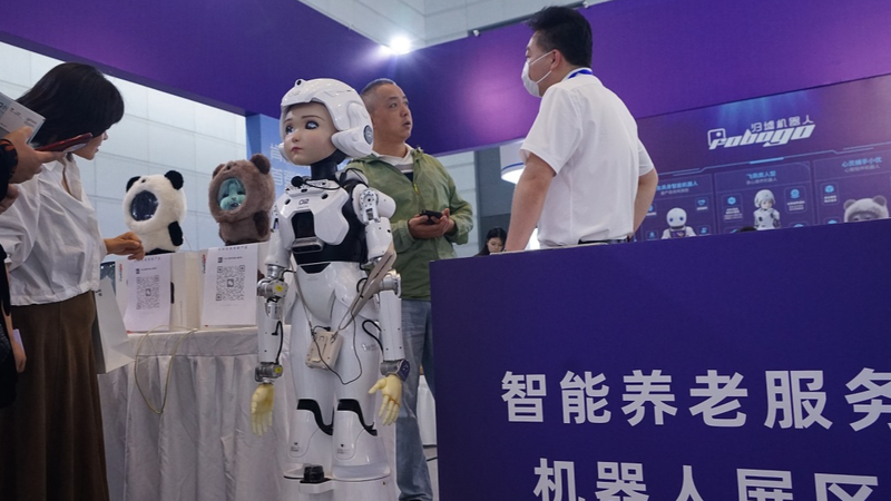 NEACFSVN4PDS2EZ095QY - 🌍NewspaperAmigo – Your Global News Buddy 🗞️ Northern China Boosts Elderly Care with Jobs & Training 🌟👵🏼👨🎓