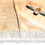 China’s Green Wall: How a Desert Barrier is Changing the Game 🌱🏜️