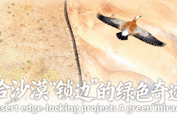 China’s Green Wall: How a Desert Barrier is Changing the Game 🌱🏜️ China’s Green Wall: How a Desert Barrier is Changing the Game 🌱🏜️