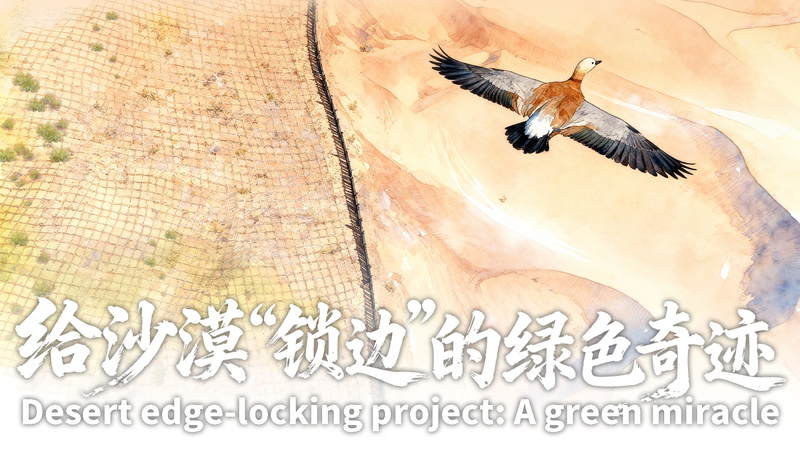 China’s Green Wall: How a Desert Barrier is Changing the Game 🌱🏜️