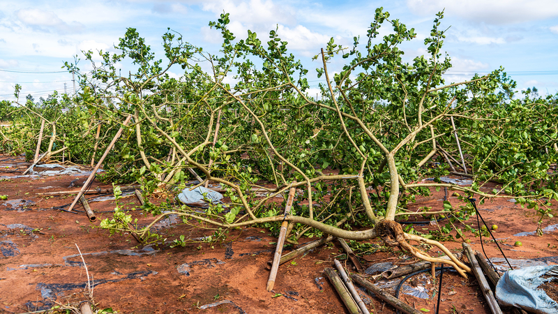 China’s Climate Crisis Response: How Tech & Teamwork Tamed Extreme Weather 🌪️🌡️ China's Climate Crisis Response: How Tech & Teamwork Tamed Extreme Weather 🌪️🌡️