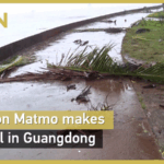 OG162AZW7QDKO2X8K4OZ - 🌍NewspaperAmigo – Your Global News Buddy 🗞️ Typhoon Matmo Batters Guangdong: Emergency Measures Activated 🌀 video poster