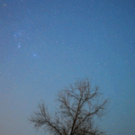 Orionid Meteor Shower Dazzles Night Skies Worldwide 🌠