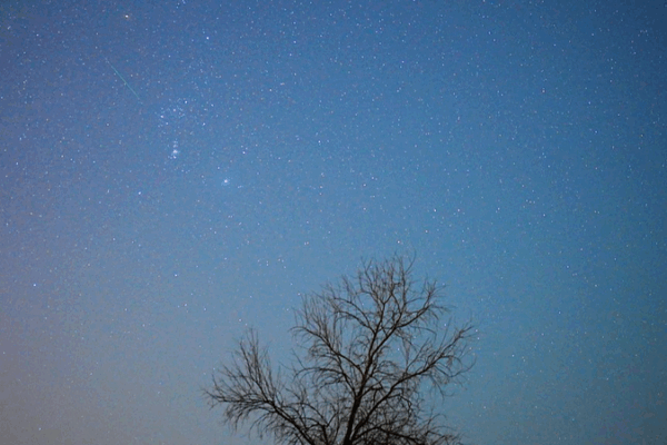 Orionid Meteor Shower Dazzles Night Skies Worldwide 🌠 Orionid Meteor Shower Dazzles Night Skies Worldwide 🌠