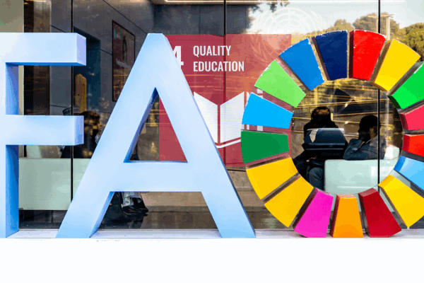 Xi Hails FAO’s 80th Anniversary 🌱🌍 Xi Hails FAO's 80th Anniversary 🌱🌍