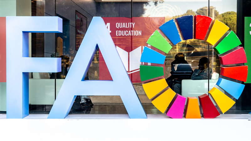 PHMR5F38N50EG4LMUOQQ - 🌍NewspaperAmigo – Your Global News Buddy 🗞️ Xi Hails FAO's 80th Anniversary 🌱🌍