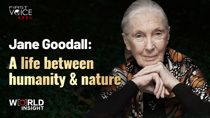 Jane Goodall’s Legacy: Bridging Humanity & Nature 🌿✨ video poster