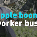 R00SRMMZ55U0DWB207AT - 🌍NewspaperAmigo – Your Global News Buddy 🗞️ 🍎 Washington Apple Boom Meets Labor Crunch: What’s Next? video poster