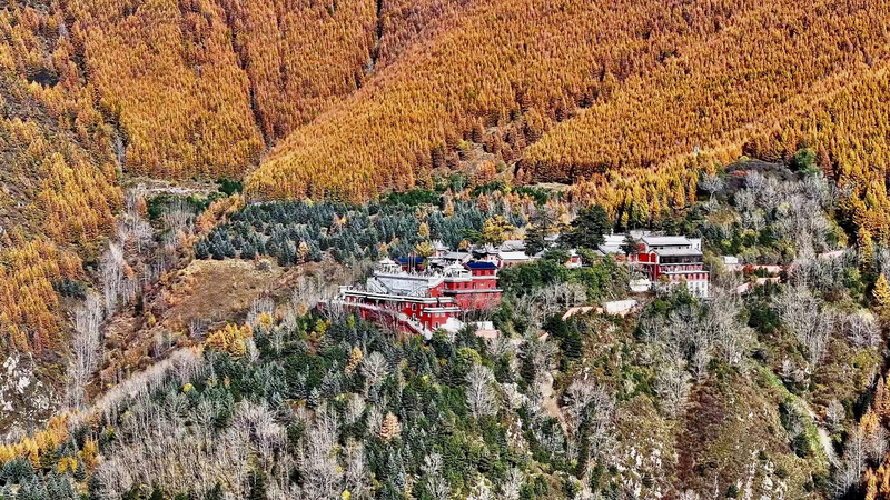 Golden October Transforms Mount Wutai into Autumn Wonderland πβ¨ Golden October Transforms Mount Wutai into Autumn Wonderland πβ¨ video poster