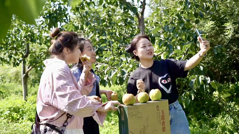 Shanxi’s ‘Dewdrop’ Pears Sweeten Rural Economies 🍐💸 Shanxi’s ‘Dewdrop’ Pears Sweeten Rural Economies 🍐💸 video poster