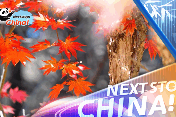 China’s Autumn Magic Sparks Tourism Boom 🍂✨ China's Autumn Magic Sparks Tourism Boom 🍂✨ video poster