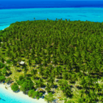 UBYFNOUFFKCGKN3JJPD3 - 🌍NewspaperAmigo – Your Global News Buddy 🗞️ Dive into Indonesia’s Wakatobi: APEC’s Hidden Marine Paradise 🌊🐠