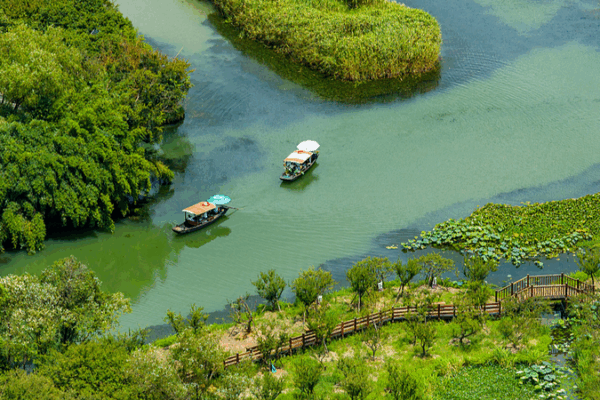 🌿 Discover Xixi: Hangzhou’s Hidden Wetland Gem You Can’t Miss! 🌿 Discover Xixi: Hangzhou’s Hidden Wetland Gem You Can’t Miss! video poster