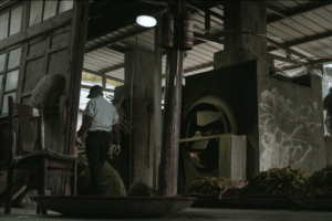 Taiwan's Rare Blue Tea: A Master's Secret 🍵✨ video poster