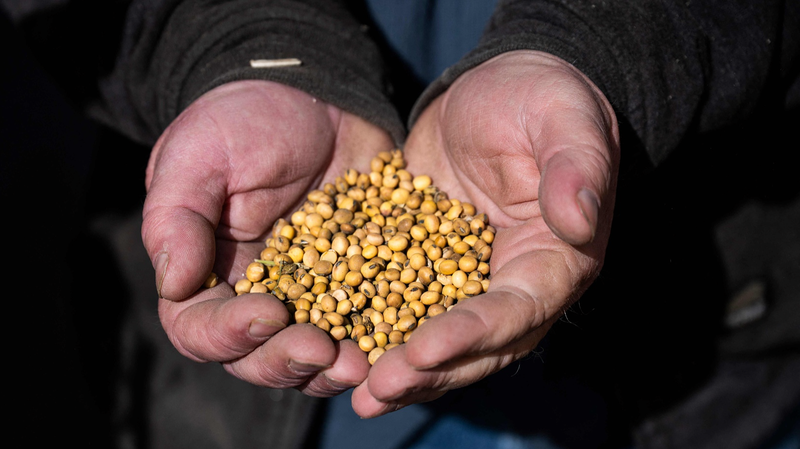 US Farmers Face Trade War Backlash Over New Tariffs πΎπΈ US Farmers Face Trade War Backlash Over New Tariffs πΎπΈ