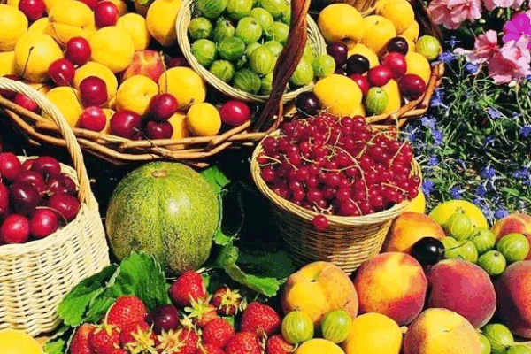 Hainan’s Free Trade Port Fuels Agri-Export Boom 🌱🚢 Hainan's Free Trade Port Fuels Agri-Export Boom 🌱🚢