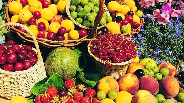 W3V8CP3OZKKQZG9QHW1F - 🌍NewspaperAmigo – Your Global News Buddy 🗞️ Hainan's Free Trade Port Fuels Agri-Export Boom 🌱🚢