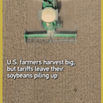 U.S. Soybean Surplus Sparks Trade War Tensions 🌾💥 video poster